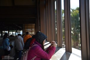 20180107090403_NIKON D7100.jpg